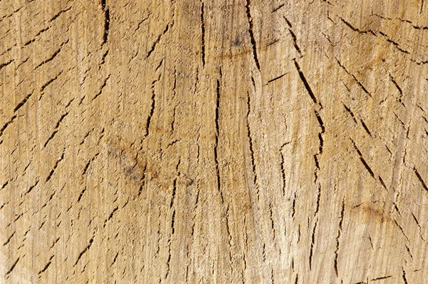 stock image Wooden background