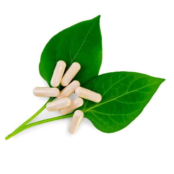 Capsules beige on two green leaves — Stock Photo, Image
