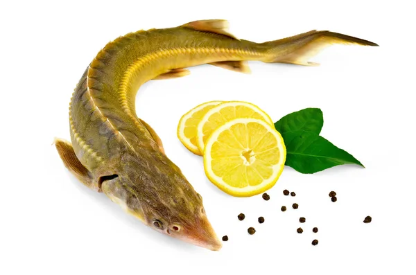 Estrella de pescado con limón y pimienta — Foto de Stock