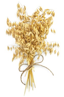 Oat stems with twine clipart