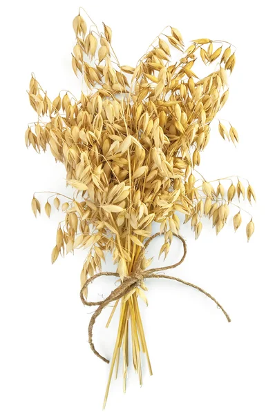 燕麦茎用细绳 — 图库照片
