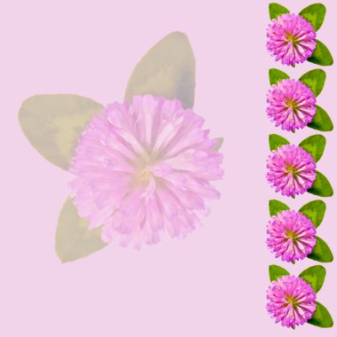 Frame with clover on a pink background clipart