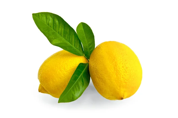 Limões dois com folhas — Fotografia de Stock