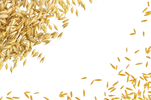 茎と白い背景の上オート麦の粒からフレーム — ストック写真