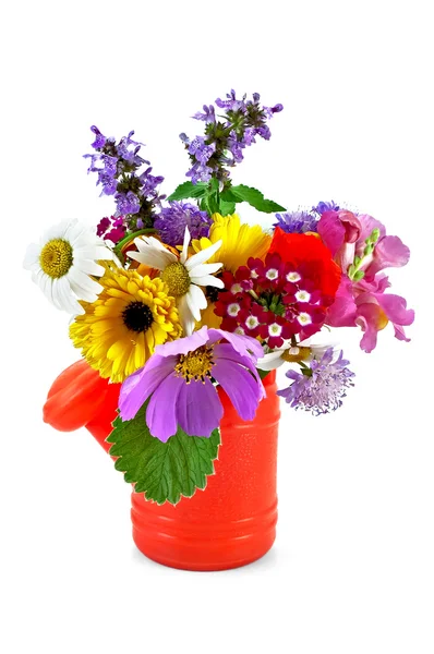 Букет квітів в дитячому поливі — стокове фото