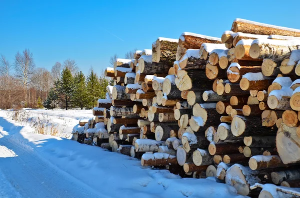 Timber pile in the snow — Stock Photo, Image