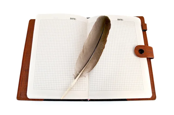 Notebook s ostnem — Stock fotografie