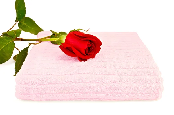 Πετσέτα ροζ με ένα κόκκινο τριαντάφυλλο — Φωτογραφία Αρχείου