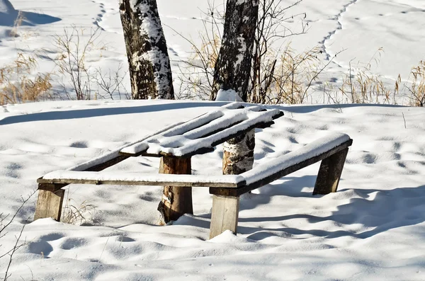 Стол и скамейка в зимнем лесу — стоковое фото