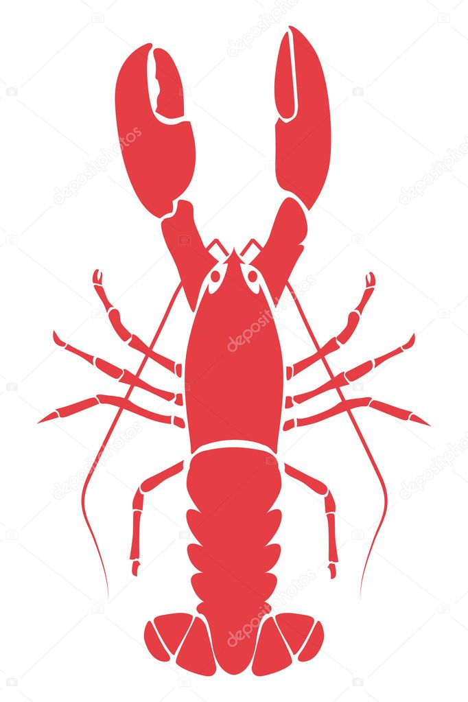 Lobster illustration