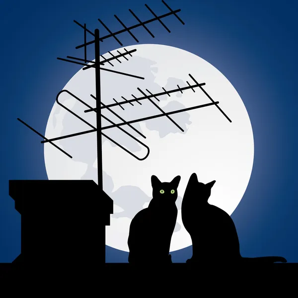 Katten op de daken — Stockvector