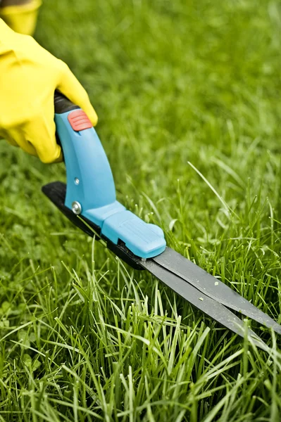 stock image Grass trimming