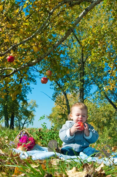 Little boy on walk — Stock Photo, Image