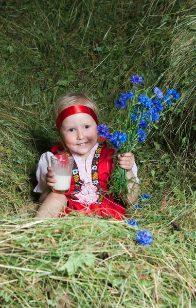 The little girl on hay — Stock Photo, Image