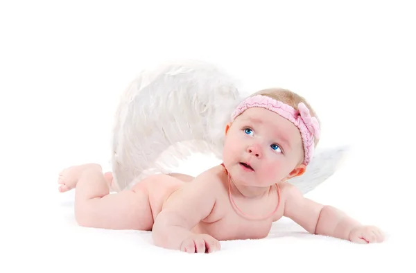 Cute little angel Royalty Free Stock Photos