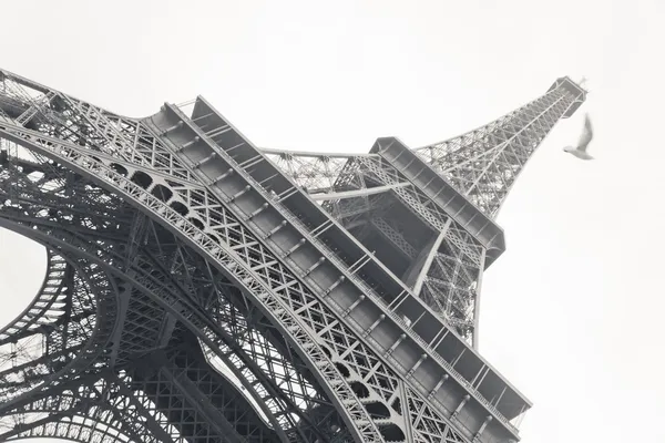 Foto en blanco y negro de la Torre Eiffel Fotos de stock libres de derechos