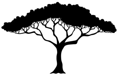 Tropical tree silhouette clipart