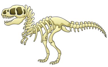Tyrannosaurus skeleton image clipart