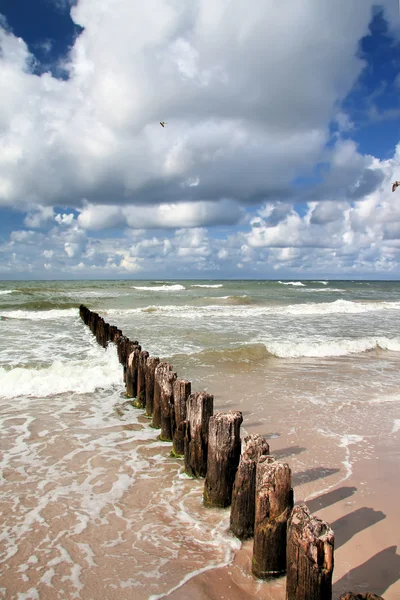 Dia ventoso à beira-mar . — Fotografia de Stock