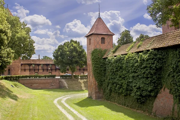 Châteaux en Pologne . — Photo