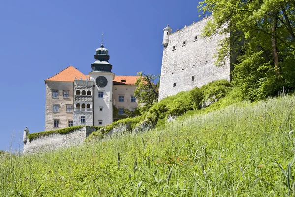 Castelos da Polónia . — Fotografia de Stock
