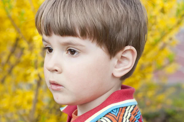在春天的花园中微笑的小男孩的肖像. — 图库照片