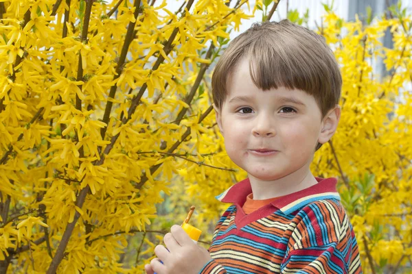 Portret van lachende jongetje in lentetuin. — Stockfoto