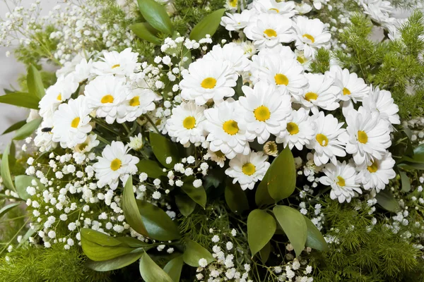 Bouquet di margherite. — Foto Stock