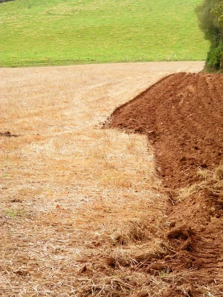 Stock image Agriculture