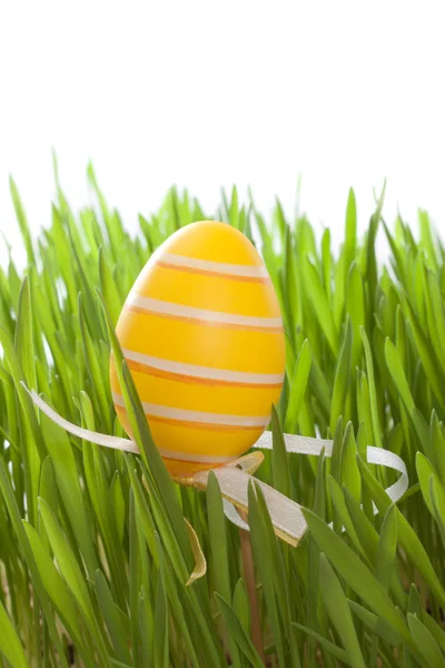 Huevo de Pascua colorido —  Fotos de Stock