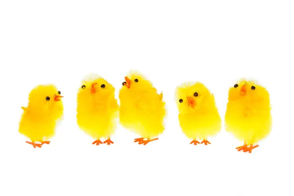 Gelbe Hühner — Stockfoto