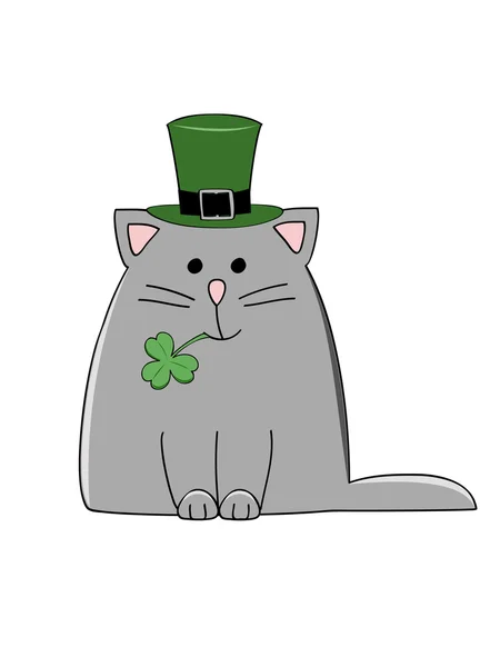 Irish cat — Stock Vector