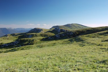 Dağlarda yaz manzarası