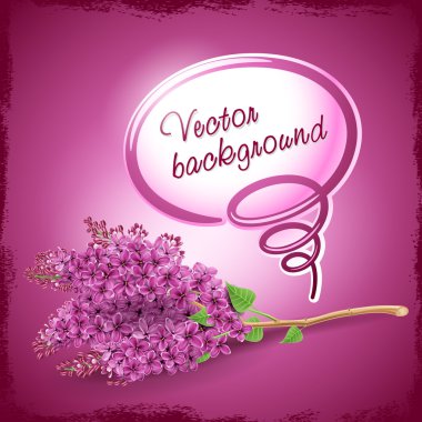 Greeting card with lilac flowers clipart