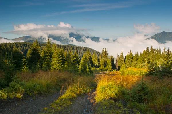 Morning landscape in the mountains — Stock Photo, Image
