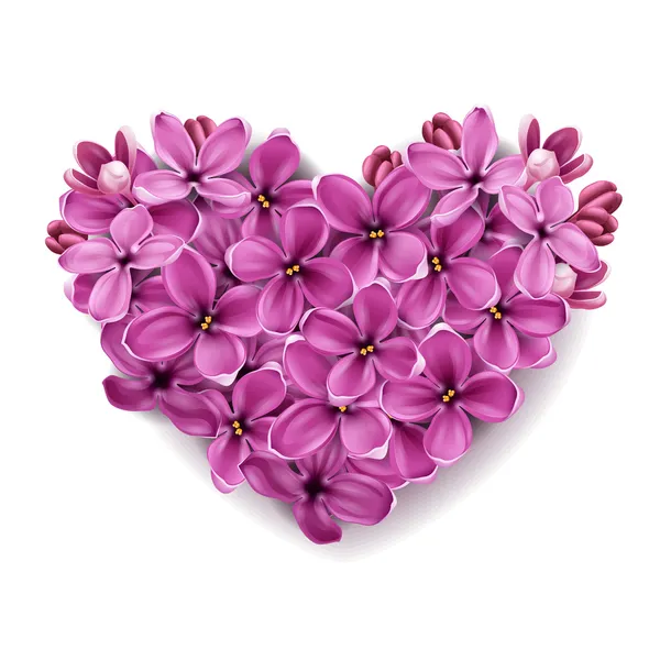 Καρδιά από λουλούδια του μια πασχαλιά. — Διανυσματικό Αρχείο