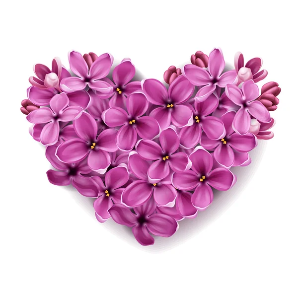 Hjärtat från blommor av en lila — Stockfoto