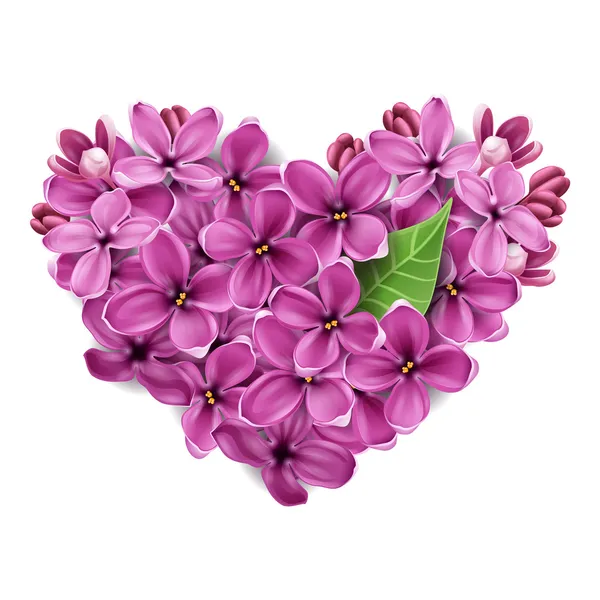 A virágok egy lila szív — Stock Vector
