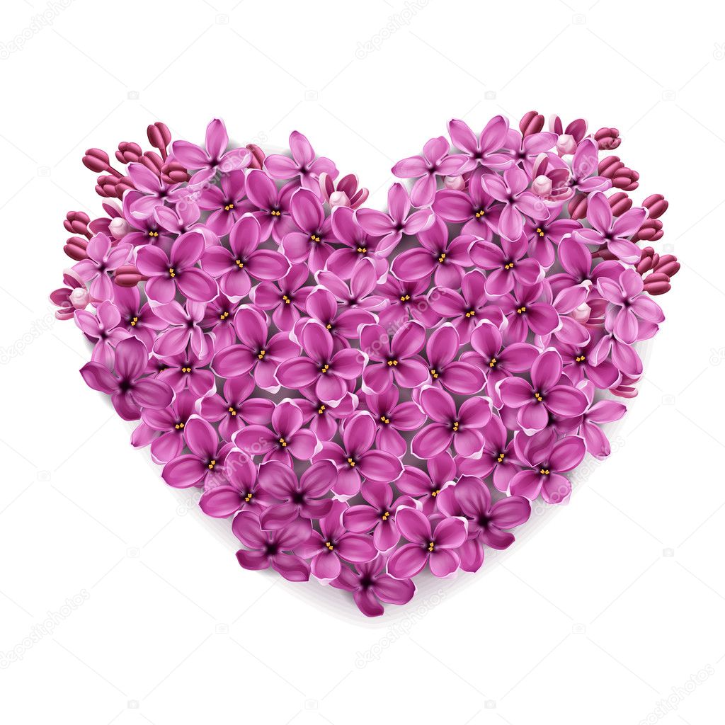 Heart from flowers of a lilac.
