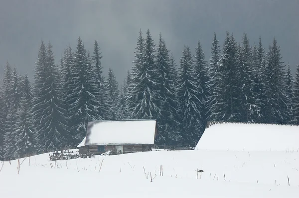 Cabaña de pastores en las montañas — Foto de Stock