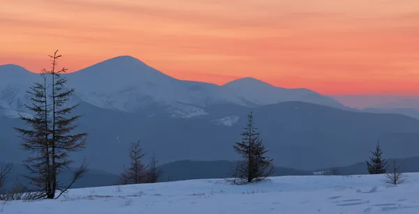 Zimowy krajobraz o zachodzie słońca — Zdjęcie stockowe