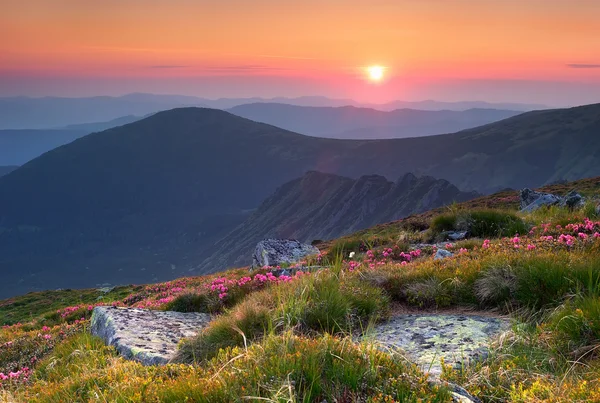 Paisaje de verano en las montañas con el sol. — Foto de Stock