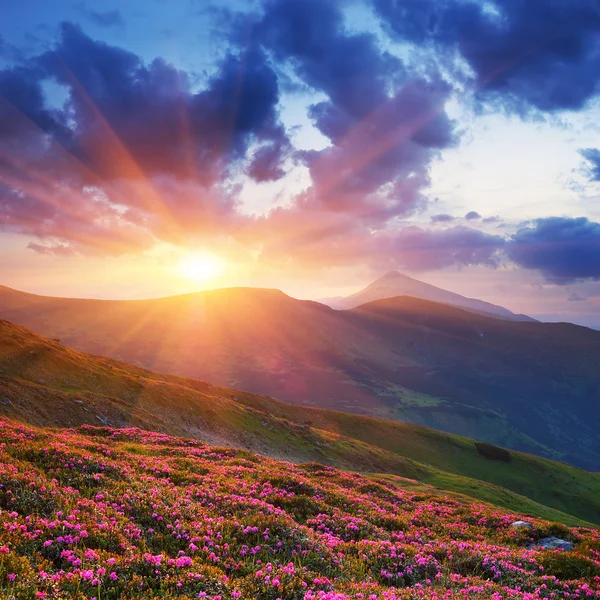 Paysage estival en montagne avec le soleil — Photo