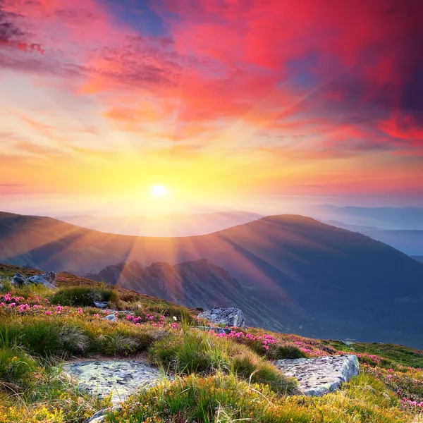 Letni krajobraz w górach ze słońcem — Zdjęcie stockowe