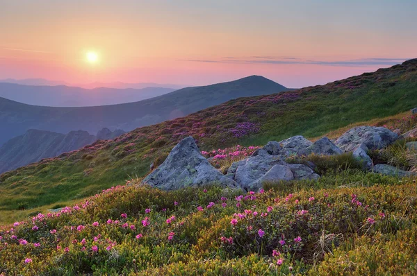 Sommerlandschaft in den Bergen mit der Sonne. — Stockfoto