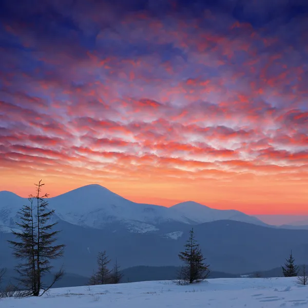 Paysage hivernal au coucher du soleil — Photo
