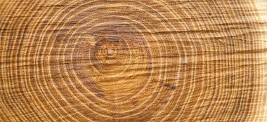 Wood texture clipart