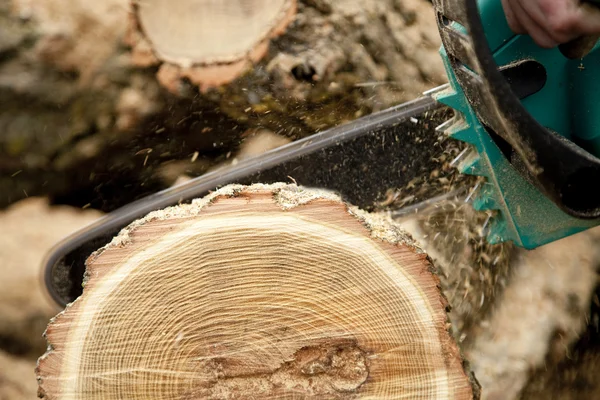 stock image Man cutting piece of wood with chain saw.