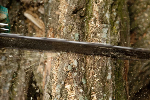 Uomo taglio pezzo di legno con motosega. — Foto Stock