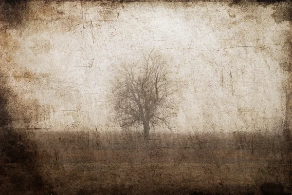Lonely tree at field. Photo in old color image style. Royalty Free Stock Images